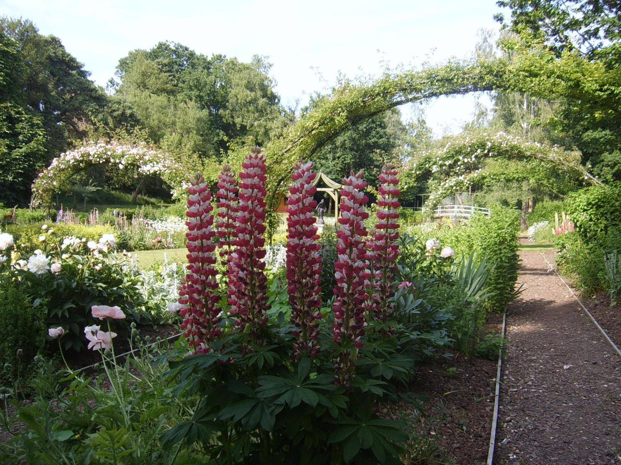 Passford House Hotel Lymington Bagian luar foto